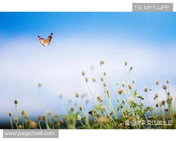 何思雨：在风雨交加中绽放的坚韧与希望之花